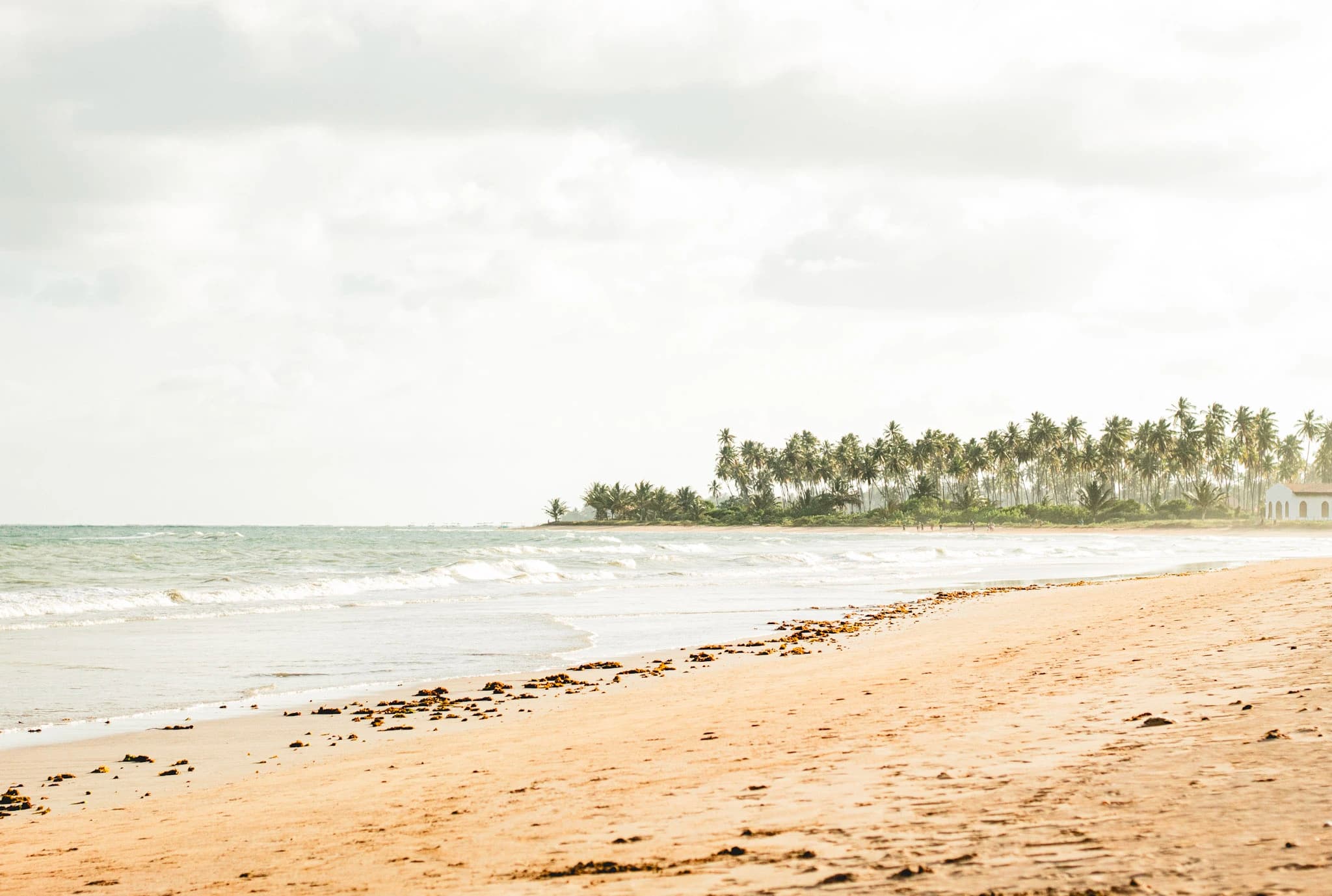 Falesias da Praia do Amor