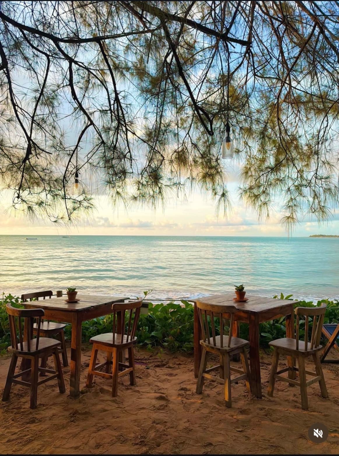 Companhia da Lagosta